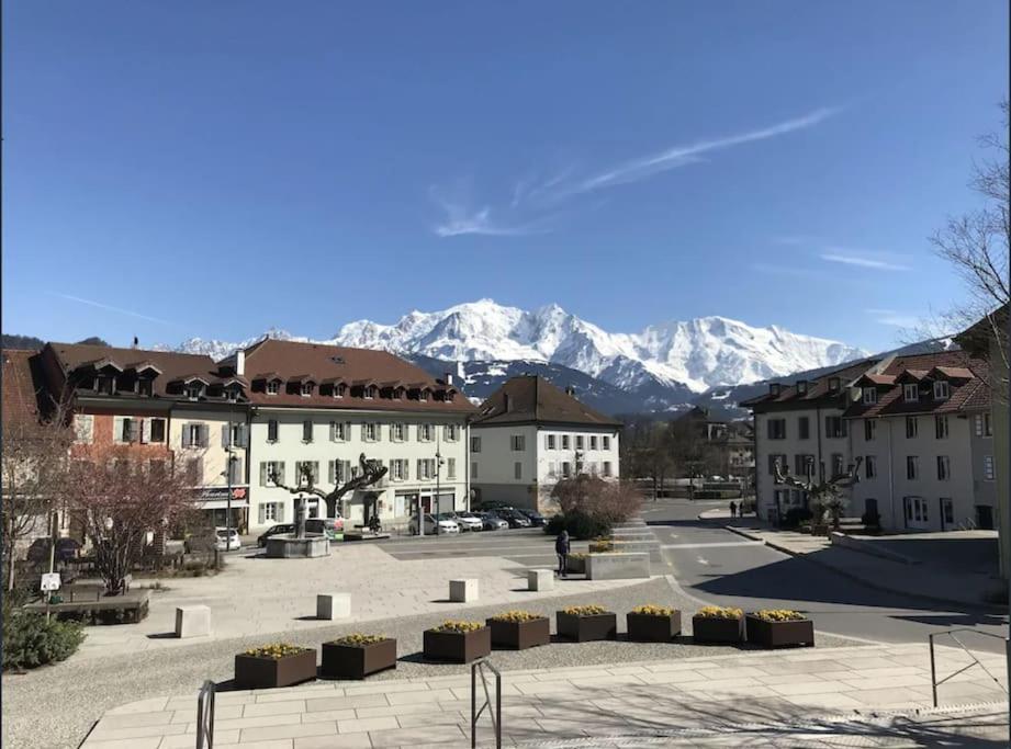 Appartement Spacieux Au Pays Du Mont-Blanc 萨莱切 外观 照片