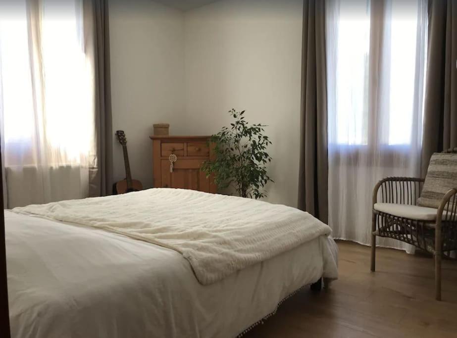 Appartement Spacieux Au Pays Du Mont-Blanc 萨莱切 外观 照片