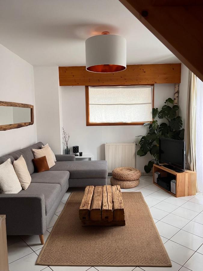 Appartement Spacieux Au Pays Du Mont-Blanc 萨莱切 外观 照片